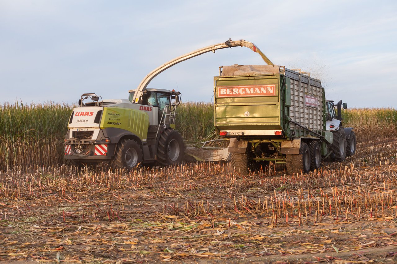 Bild 138 - Maisernte 2016